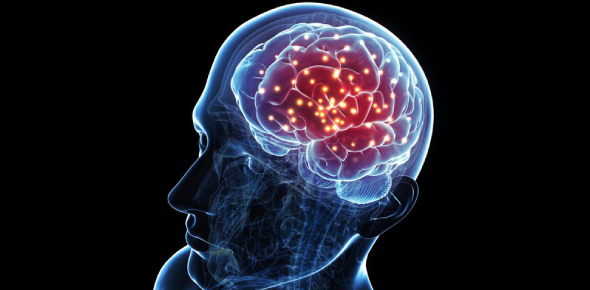 Where is the human mind located? - ProProfs Discuss